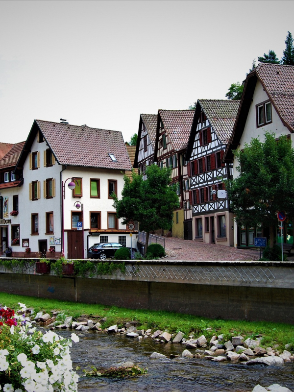 Cursos de alemán en casa del profesor en Alemania