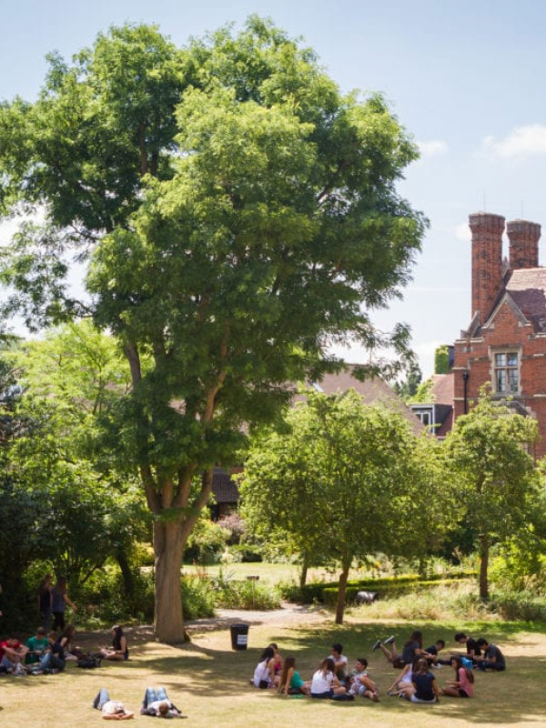 Inglés y Actividades en Cambridge