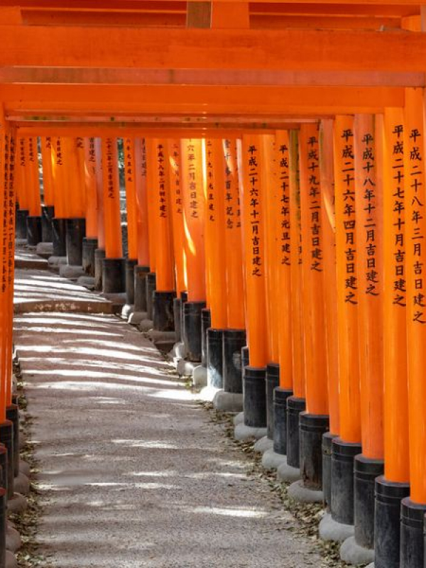 Cursos de verano de japonés en Kyoto con actividades 2025