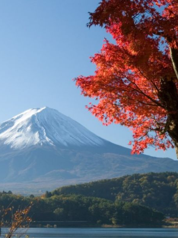 Cursos de verano de japonés en Fukuoka con actividades 2025