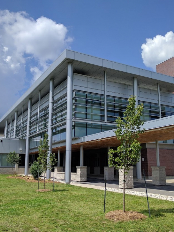 Campamento de verano en Hamilton, Canadá