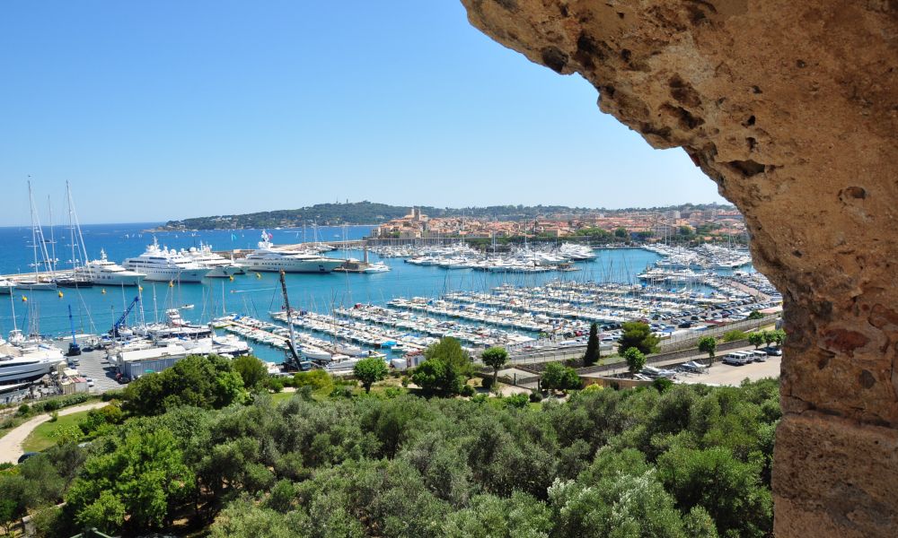 Familias de acogida - port