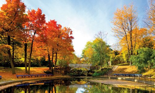 Inmersión en familia canadiense - descubre Toronto