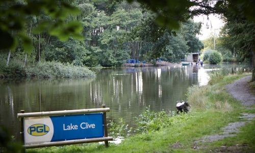 Inglés y actividades en Boreatton Park 