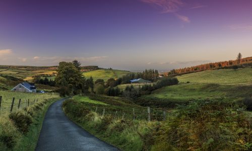 Cursos de idiomas Adultos 16+ Irlanda