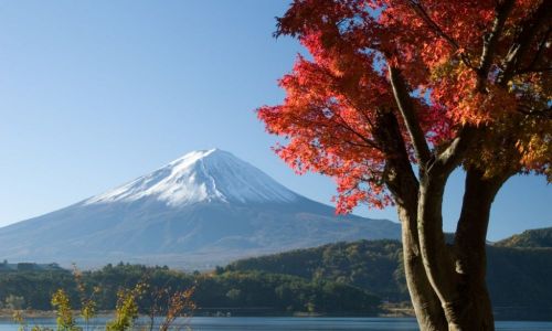 Campamentos de verano Japón